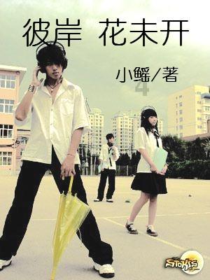 小猫钓鱼游戏龙王版有船